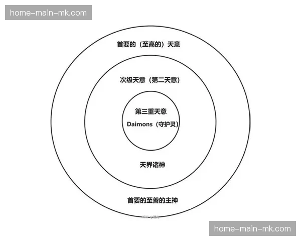 深度深度：排球装备运动员社交媒体影响力变现背后的商业逻辑